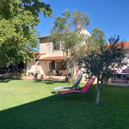 Mas Du Pont De Laute Villa Le Cailar Kültér fotó