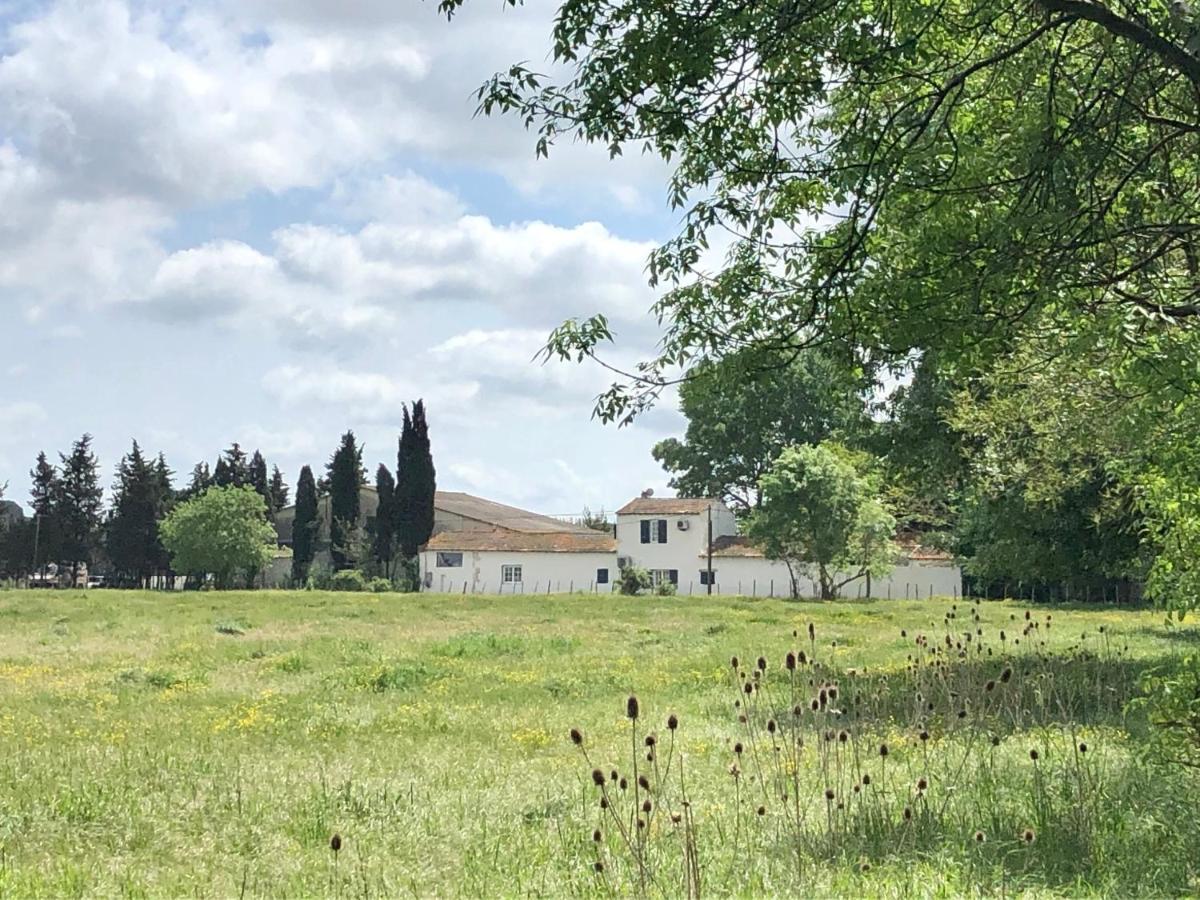 Mas Du Pont De Laute Villa Le Cailar Kültér fotó